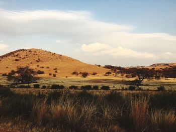 Scenic view of field against sky