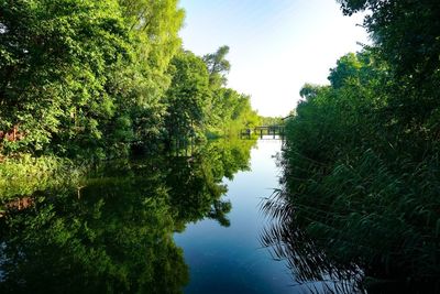 Reflection of trees in lake against sky