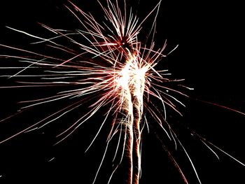 Low angle view of firework display at night