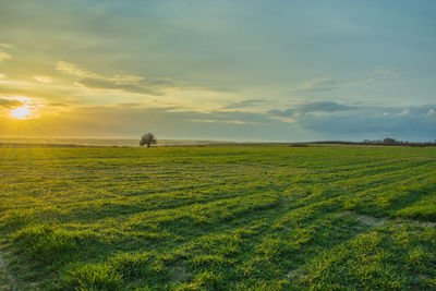 Scenic view of grassy field against sky during sunset