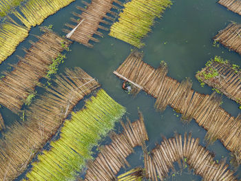 Aerial view of eco friendly jute processing field in natore, bangladesh.