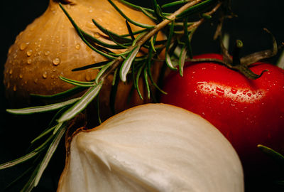 Close-up of wet strawberry plant against black background