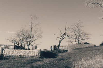 Bare trees on field against clear sky