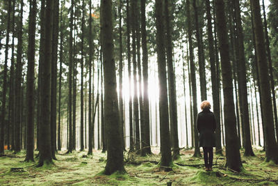 Man in forest