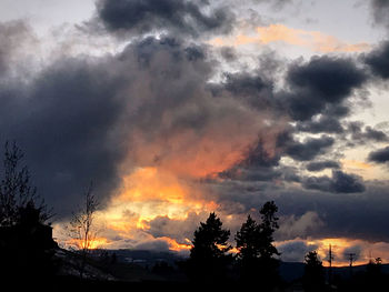 Low angle view of silhouette trees against dramatic sky