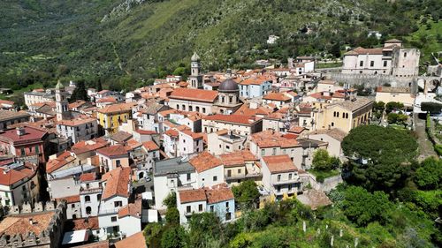 High angle view of trees and houses