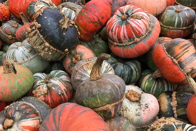 Full frame shot of pumpkins