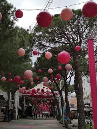 Low angle view of lanterns hanging on street
