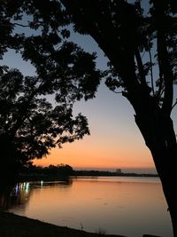 Silhouette tree by lake against sky during sunset