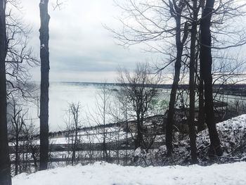 Bare trees on snow covered land against sky