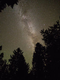 Low angle view of silhouette trees against sky at night