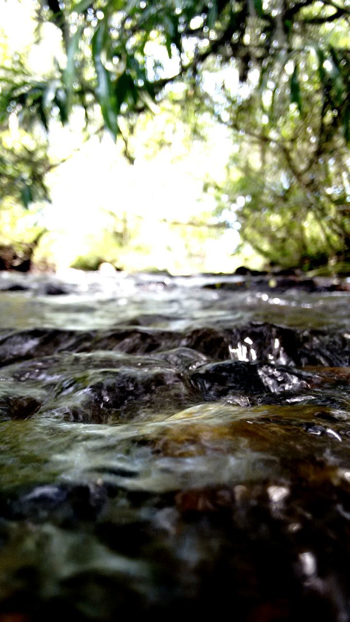 SURFACE LEVEL OF STREAM FLOWING