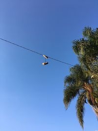 Low angle view of birds on cable against clear blue sky