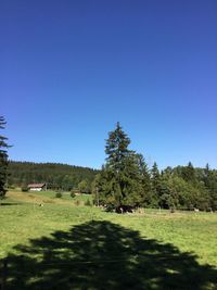 Scenic view of trees against clear blue sky