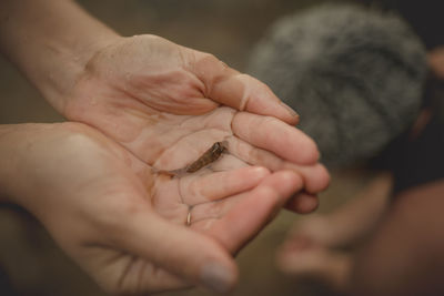 Close-up of person holding hands