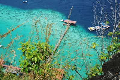 High angle view of plants by sea