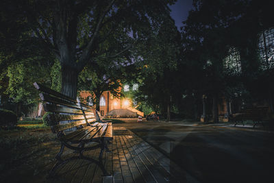 Empty bench by trees at night