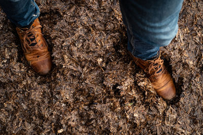 Low section of man standing in mud