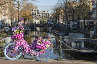 Flowers on bridge over canal in city