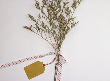 Close-up of decoration hanging against white background
