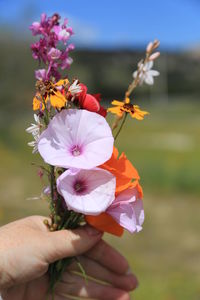 Close-up of hand holding flowers