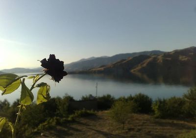 Scenic view of lake against clear sky