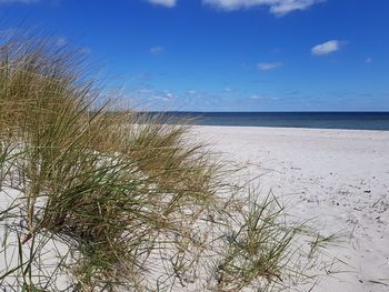 View of beach against blue sky