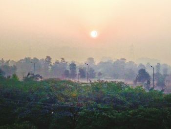 Scenic view of forest against sky during sunset