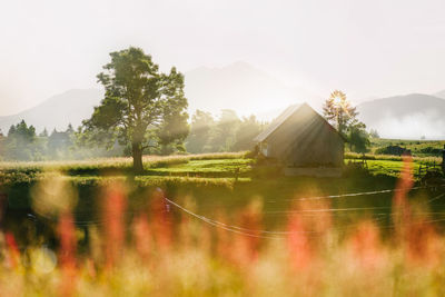 Rural mountain scene at sunrise