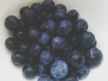 Close-up of food on white background