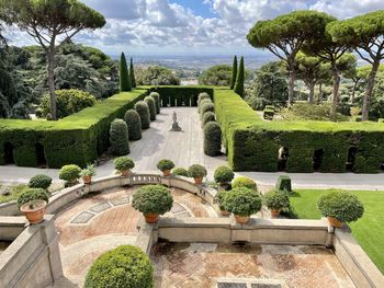 Panoramic view of trees