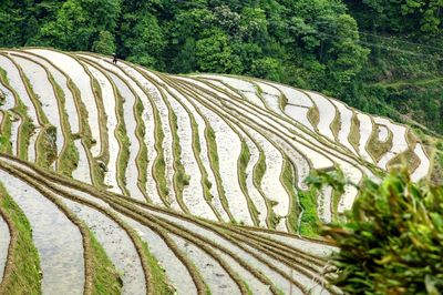 Scenic view of farm against sky