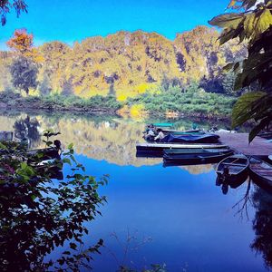 Reflection of trees in lake against clear blue sky