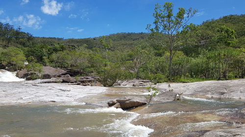 Scenic view of river amidst trees against sky