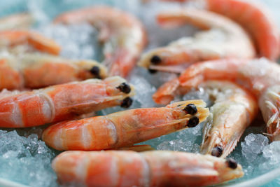 Close-up of prawns on ice for sale at fish market