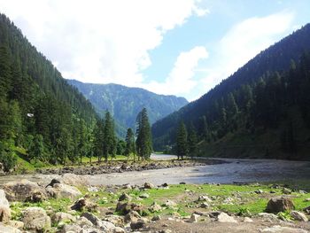 Scenic view of forest and mountains against sky