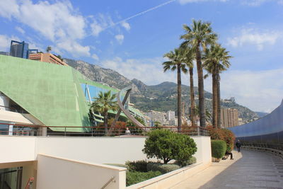 Palm trees and buildings in city against sky