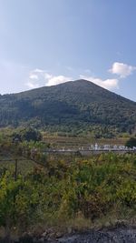 Scenic view of landscape against sky