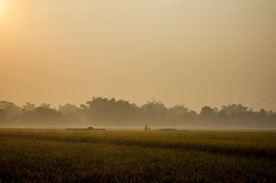 Scenic view of field against sky during sunset