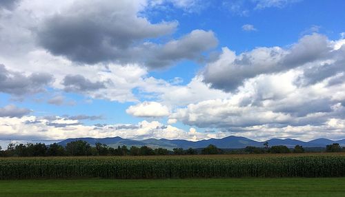 Scenic view of field against sky