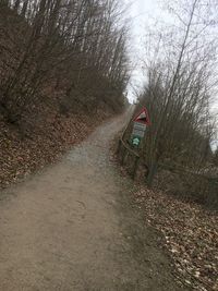 View of road through bare trees