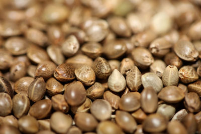 Full frame shot of roasted coffee beans