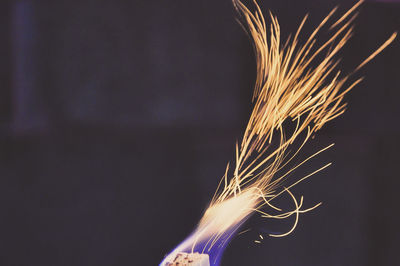 Close-up of firework display