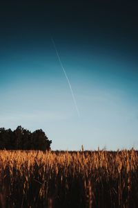 Scenic view of field against blue sky