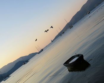 View of birds on snow covered mountain against sky