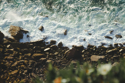 High angle view of rocks on beach