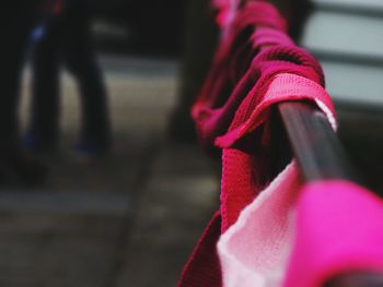 Low section of man with pink petals on background