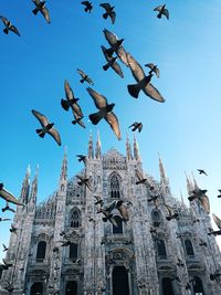 Low angle view of birds flying against church