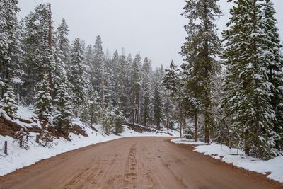 Road amidst snow covered trees against sky