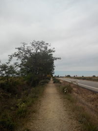 Road passing through field